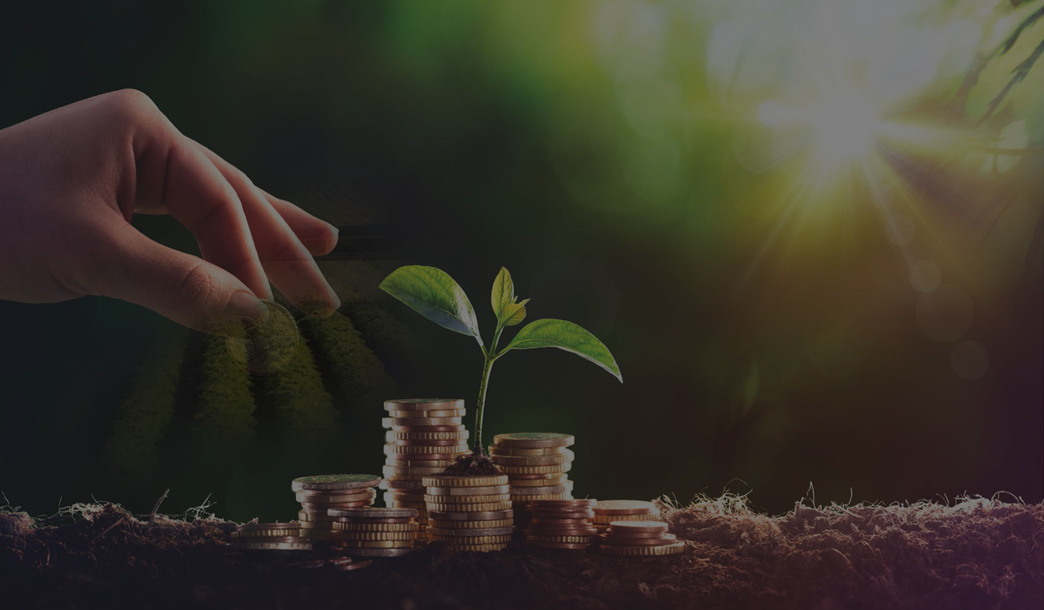 Free Website Template by FreeHTML5.co